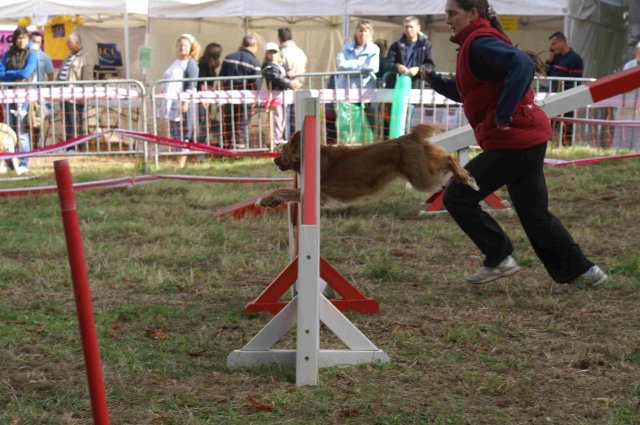 foire-haricots 2011-09-17et18